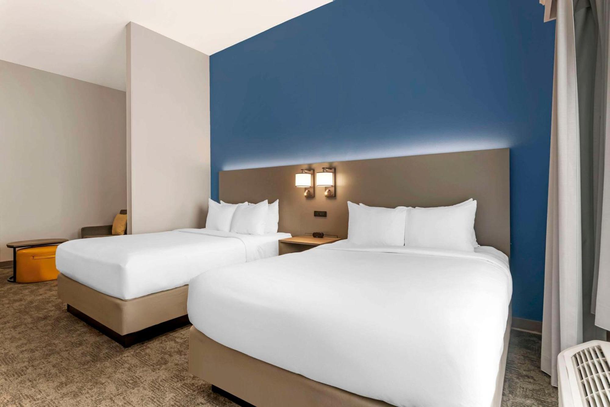 คอมฟอร์ท สวีทส์ ซาราโซต้า Hotel ซาราโซตา ภายนอก รูปภาพ